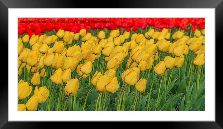 Flowerbed. Framed Mounted Print by Angela Aird