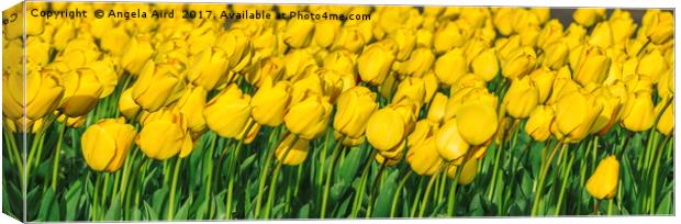Tulips. Canvas Print by Angela Aird