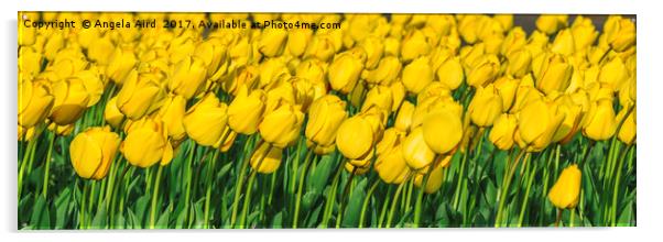 Tulips. Acrylic by Angela Aird