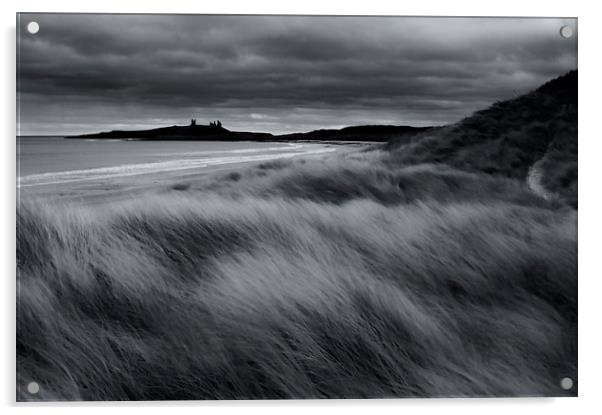 Dunstanburgh Dunes Acrylic by Gavin Liddle