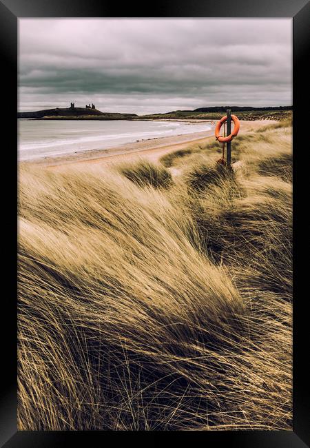 Dunes at Dunstanburgh Framed Print by Gavin Liddle