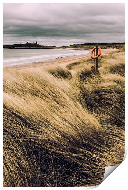 Dunes at Dunstanburgh Print by Gavin Liddle