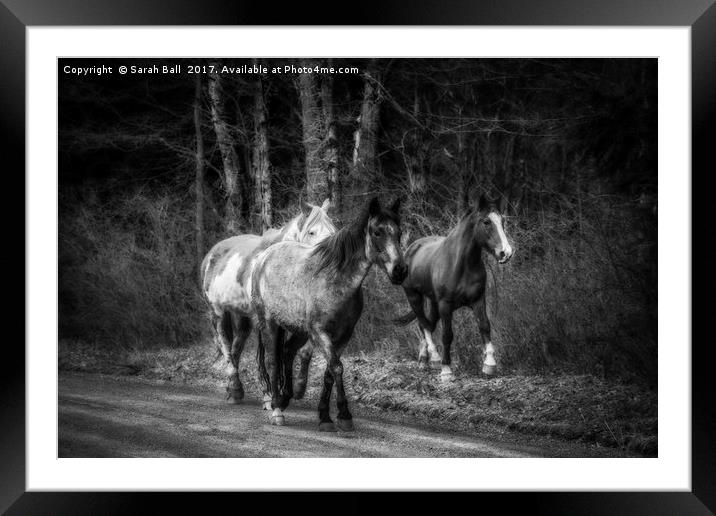 Beautiful Horses Framed Mounted Print by Sarah Ball