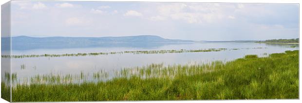 Lake Nakuru Canvas Print by Malcolm Smith