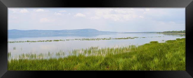 Lake Nakuru Framed Print by Malcolm Smith