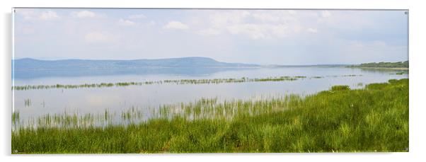 Lake Nakuru Acrylic by Malcolm Smith