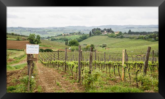 Tuscany Farm Framed Print by Darryl Brooks