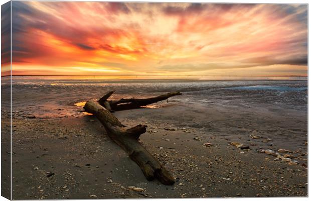 Low tide at sunset. Canvas Print by Guido Parmiggiani