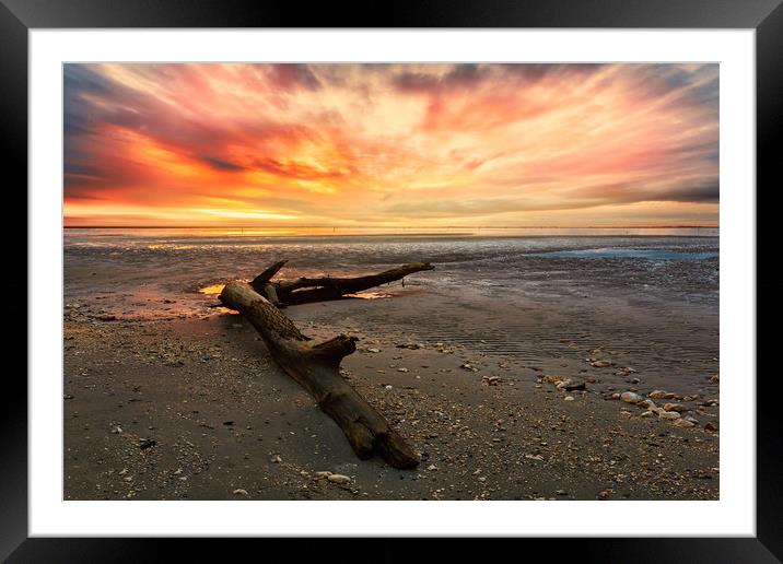 Low tide at sunset. Framed Mounted Print by Guido Parmiggiani