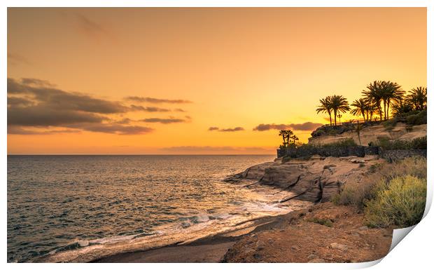 Sun setting over the sea and palm trees  Print by Naylor's Photography
