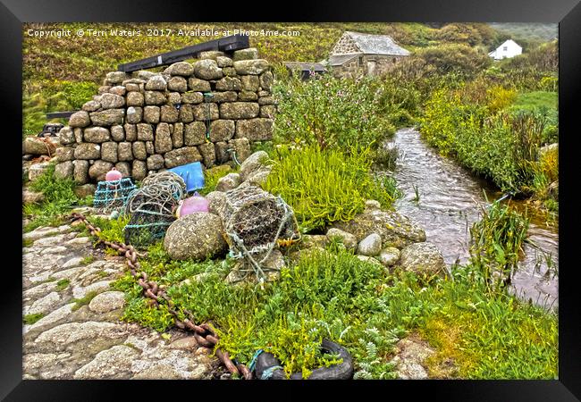 Penberth Stream Framed Print by Terri Waters