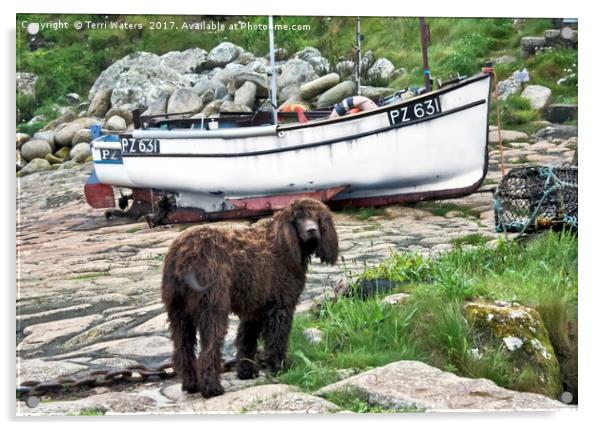 Penberth Pooch Acrylic by Terri Waters