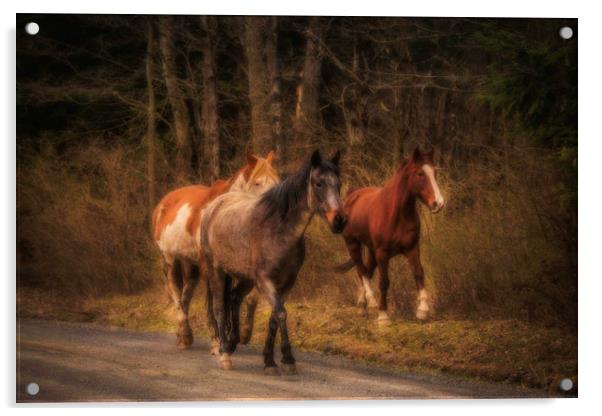 Dreamy Horses Acrylic by Sarah Ball