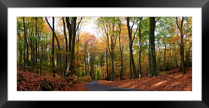 Autumn Framed Mounted Print by Adrian Brockwell