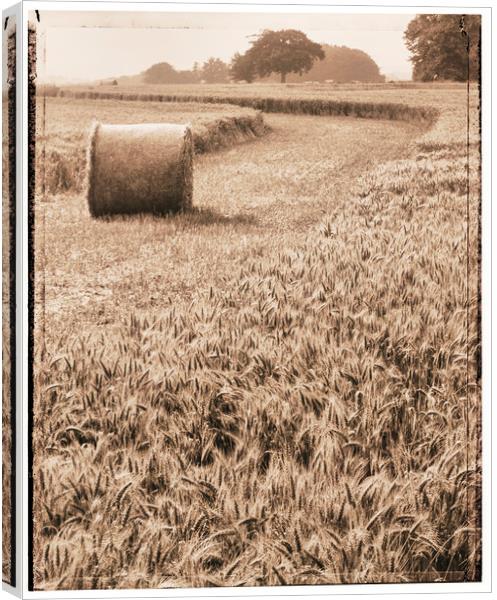 Harvest time Canvas Print by Adrian Brockwell