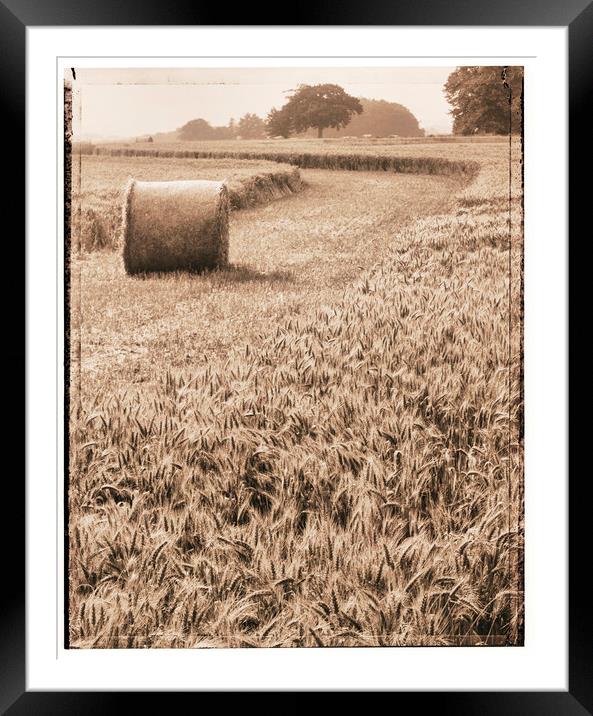 Harvest time Framed Mounted Print by Adrian Brockwell