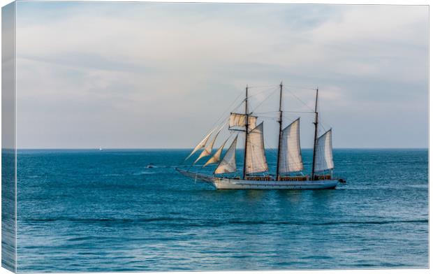 Three Masted Sailboat off Key West Canvas Print by Darryl Brooks