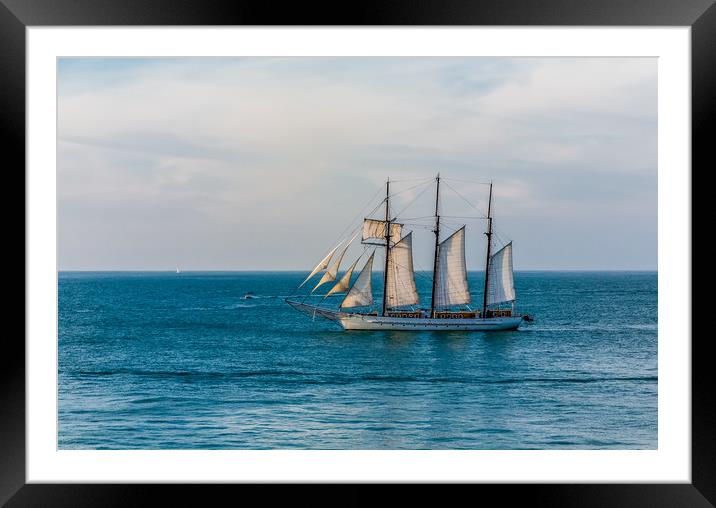 Three Masted Sailboat off Key West Framed Mounted Print by Darryl Brooks