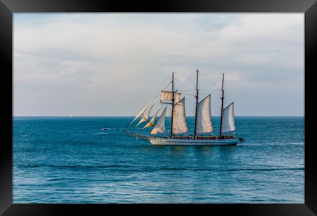 Three Masted Sailboat off Key West Framed Print by Darryl Brooks