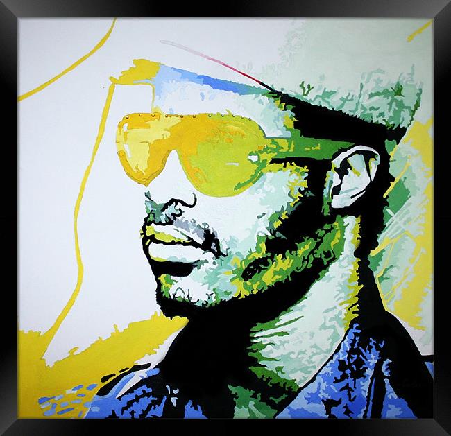 Stevie's Wonder-ful Framed Print by Toon Photography