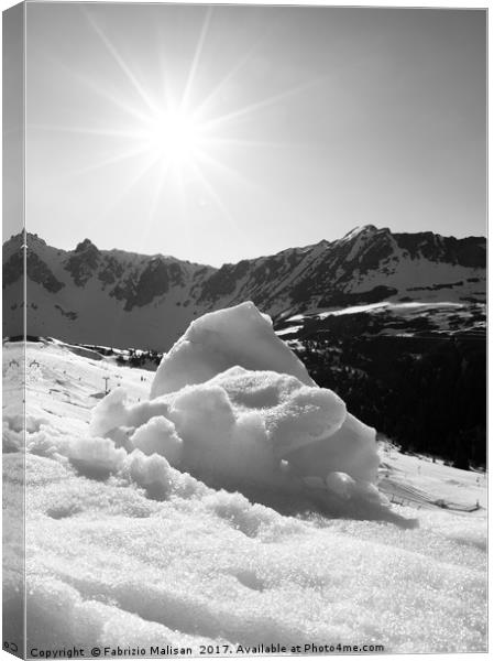 Spring Snow in Black and White Canvas Print by Fabrizio Malisan