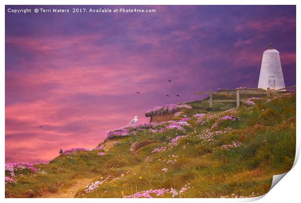 Portreath Print by Terri Waters