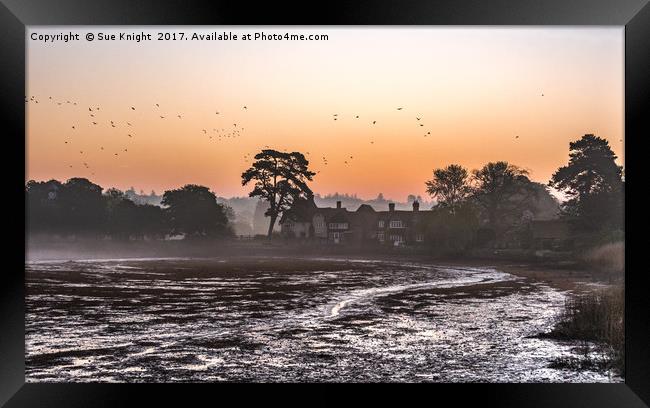 Beaulieu Mill Pond sunrise Framed Print by Sue Knight