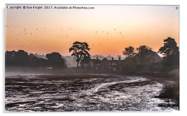 Beaulieu Mill Pond sunrise Acrylic by Sue Knight
