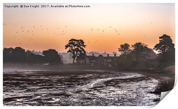 Beaulieu Mill Pond sunrise Print by Sue Knight