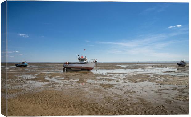 Low Tide Canvas Print by Rob Camp