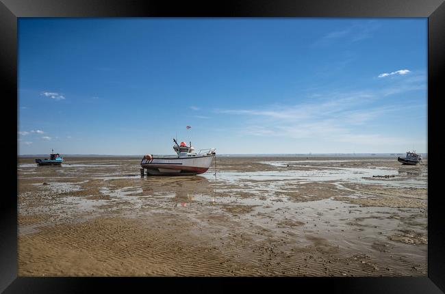 Low Tide Framed Print by Rob Camp