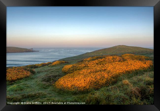 Pentire Headland Sunrise Framed Print by Diane Griffiths