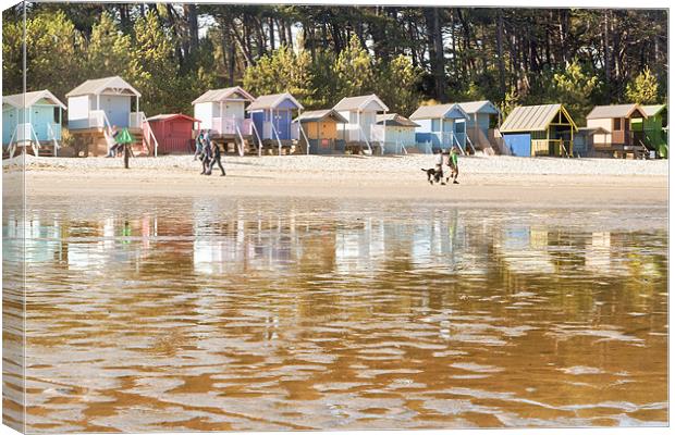 Reflections on the beach Canvas Print by Stephen Mole