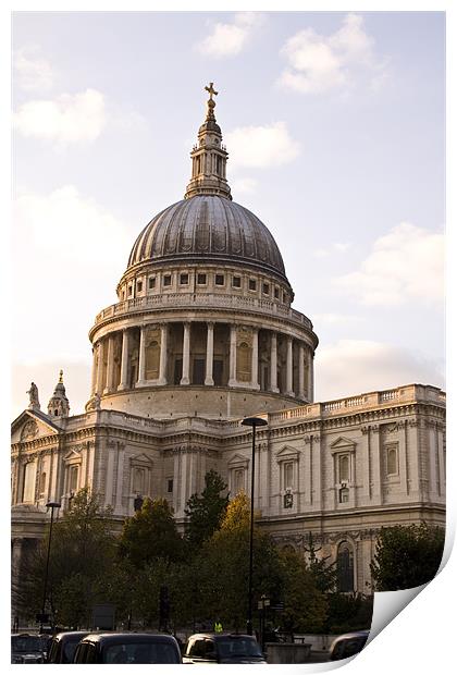St Pauls Cathedral at London Attractions Print by David French