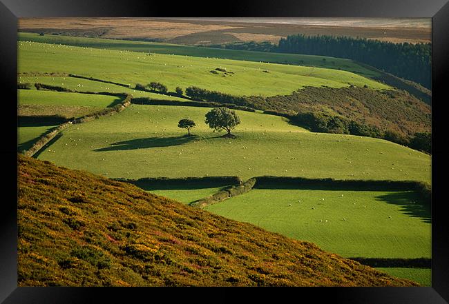 Exmoor Framed Print by graham young
