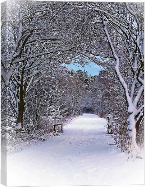 A Winter's Walk In Snowy Scotland. Canvas Print by Aj’s Images