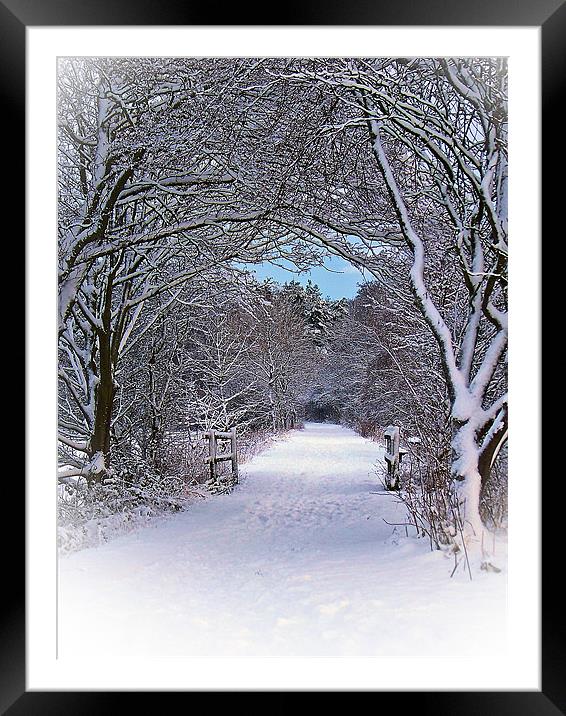 A Winter's Walk In Snowy Scotland. Framed Mounted Print by Aj’s Images