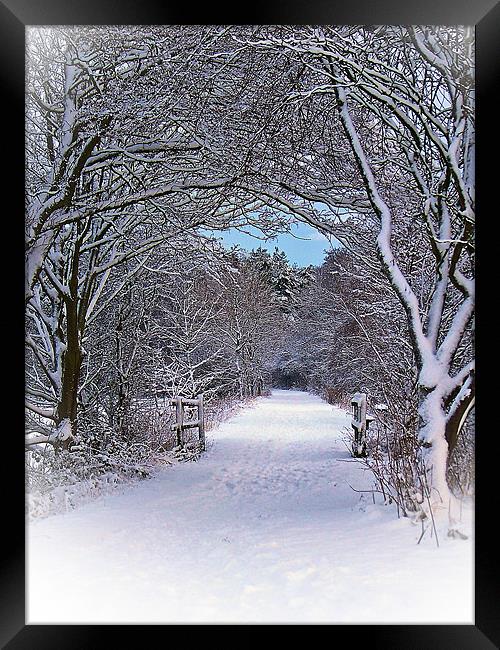 A Winter's Walk In Snowy Scotland. Framed Print by Aj’s Images