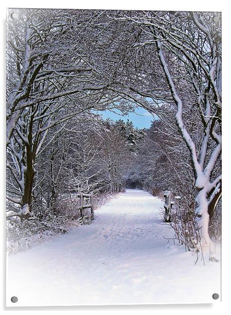 A Winter's Walk In Snowy Scotland. Acrylic by Aj’s Images