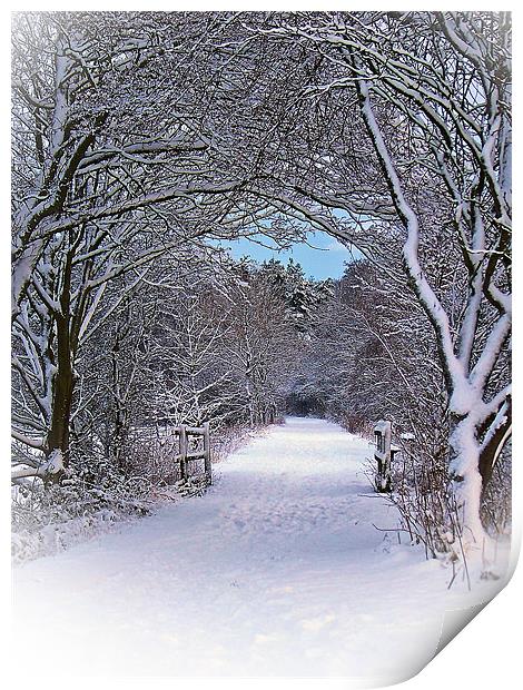 A Winter's Walk In Snowy Scotland. Print by Aj’s Images