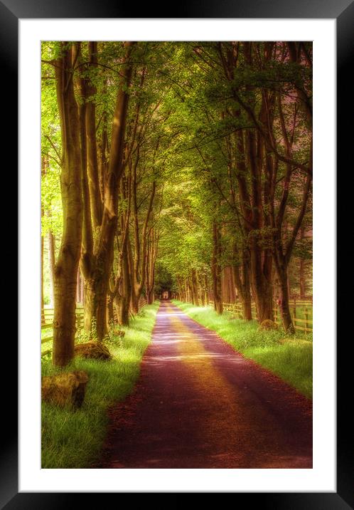 Forest of Bowland Framed Mounted Print by Irene Burdell