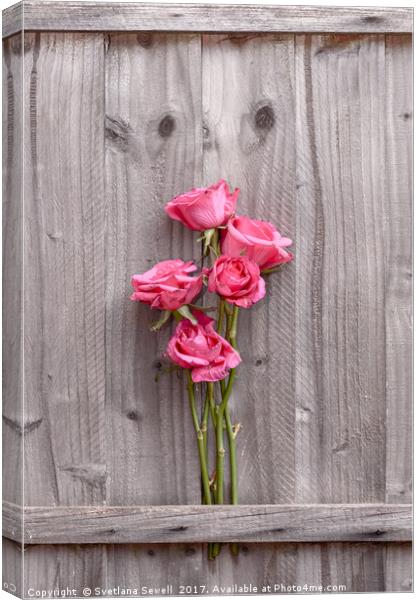Pink Roses Canvas Print by Svetlana Sewell