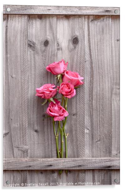 Pink Roses Acrylic by Svetlana Sewell