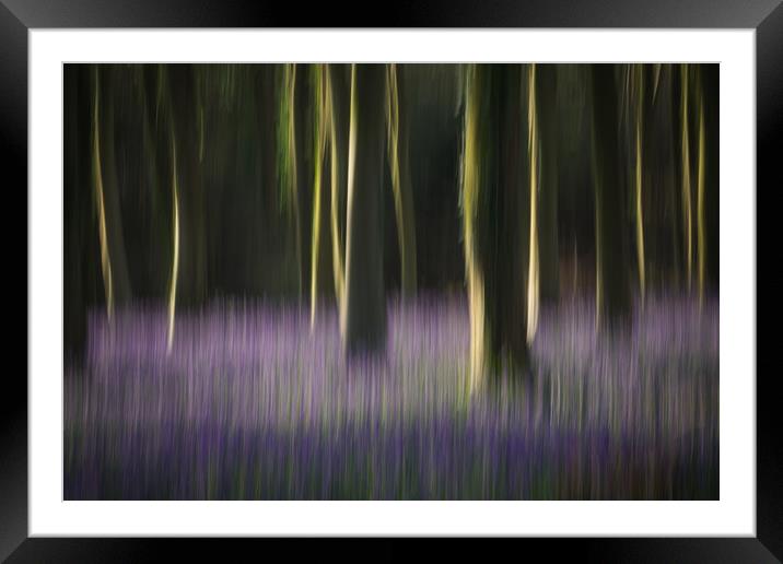 Woodland Blur Framed Mounted Print by Sue MacCallum- Stewart