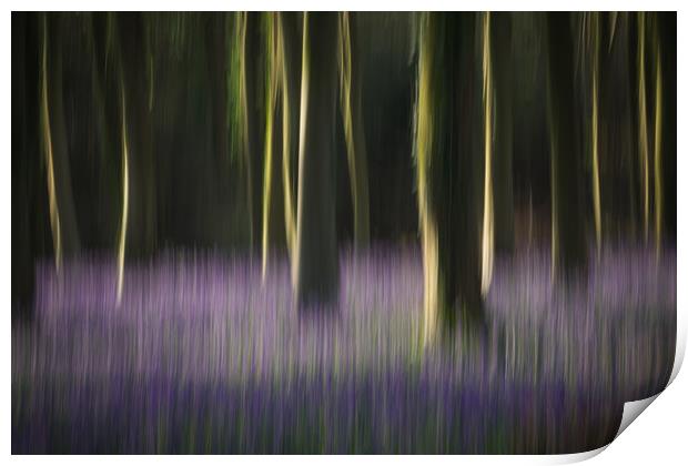 Woodland Blur Print by Sue MacCallum- Stewart