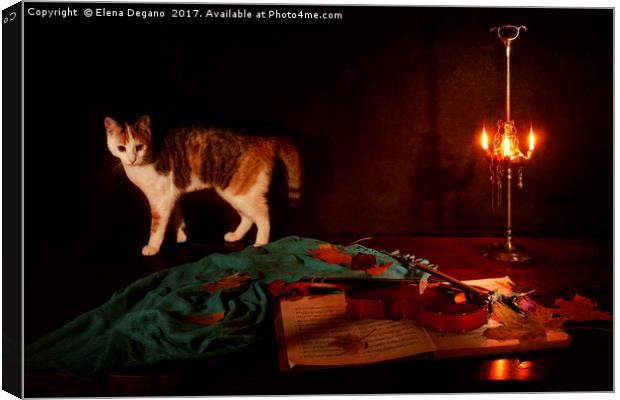Nocturne for violin a cat Canvas Print by Elena Degano
