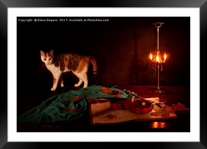 Nocturne for violin a cat Framed Mounted Print by Elena Degano