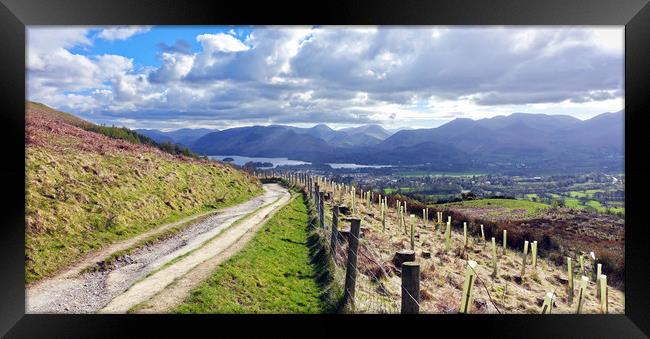    Derwent water and Keswick from Latrigg          Framed Print by Anthony Kellaway