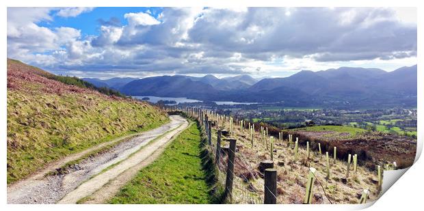    Derwent water and Keswick from Latrigg          Print by Anthony Kellaway