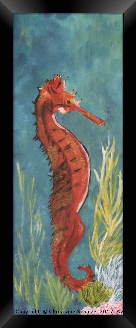 Red Seahorse Framed Print by Christiane Schulze